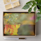 Papier Mousseline Papillon monarque Orange Marigold Photo (Cadeau)