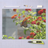 Papier Mousseline Papillon monarque sur le papillon rouge Bush (Artisanat)