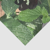 Papier Mousseline Papillon noir et jaune au printemps (Détail)