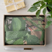 Papier Mousseline Papillon noir et jaune au printemps (Cadeau)