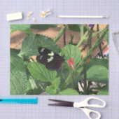 Papier Mousseline Papillon noir et jaune au printemps (Artisanat)