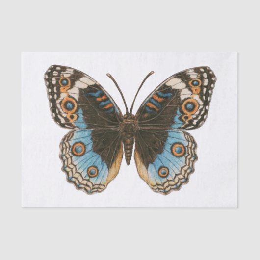 Papier Mousseline Papillon Pansy Bleu (Recto)