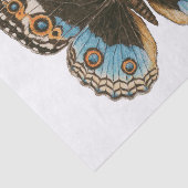Papier Mousseline Papillon Pansy Bleu (Détail)