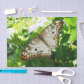 Papier Mousseline Papillon sur Jasmine Tropical Nature Photographie (Artisanat)