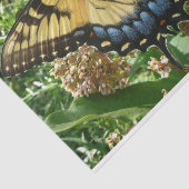 Papier Mousseline Papillon Swallowtail II à Shenandoah (Détail)