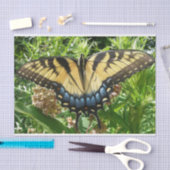 Papier Mousseline Papillon Swallowtail II à Shenandoah (Artisanat)