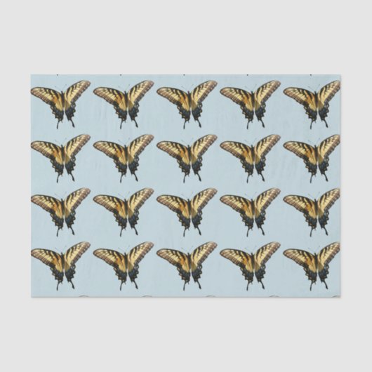 Papier Mousseline Papillon Swallowtail III Belle photo colorée (Recto)