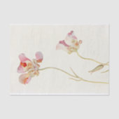 Papier Mousseline Papillon Tulip par Margaret Armstrong (Recto)