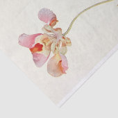 Papier Mousseline Papillon Tulip par Margaret Armstrong (Détail)