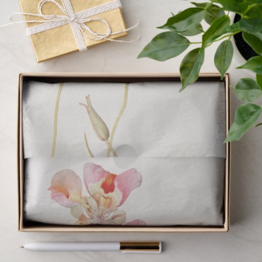 Papier Mousseline Papillon Tulip par Margaret Armstrong (Cadeau)