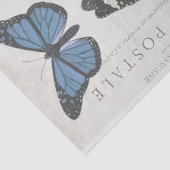 Papier Mousseline Papillon Vintage Carte Postale Découpage T (Détail)