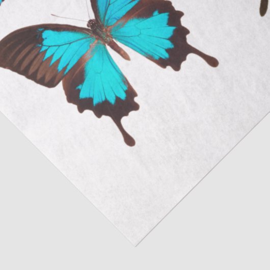Papier Mousseline Papillons bleus Collection Papillons Découpage (Détail)