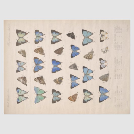 Papier Mousseline Papillons bleus vintages Ephémère Découpage Turquo (Recto)