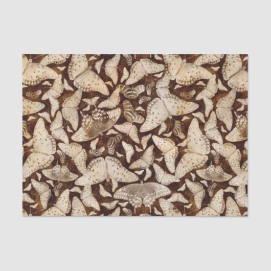 Papier Mousseline Papillons Brown et beiges (Recto)