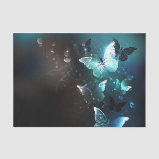 Papier Mousseline Papillons de nuit (Recto)