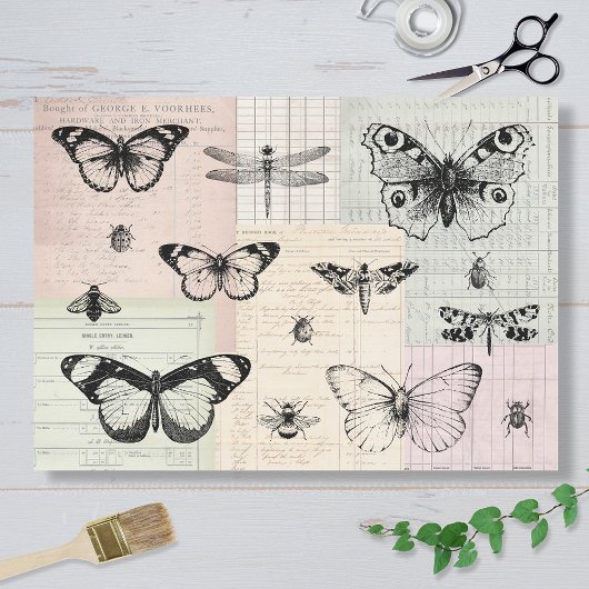 Papier Mousseline Papillons et insectes