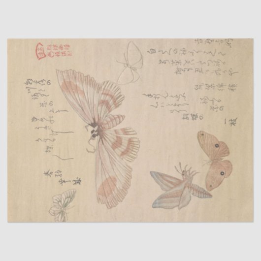Papier Mousseline Papillons et papillons de nuit par Kubo Shunman (Recto)