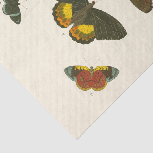 Papier Mousseline Papillons lumineux par Pieter Cramer (Détail)