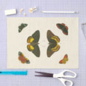 Papier Mousseline Papillons lumineux par Pieter Cramer (Artisanat)