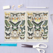 Papier Mousseline Papillons Millot (Artisanat)