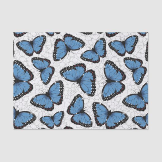Papier Mousseline Papillons morpho bleu (Recto)