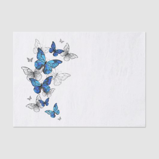 Papier Mousseline Papillons volants bleus Morpho (Recto)