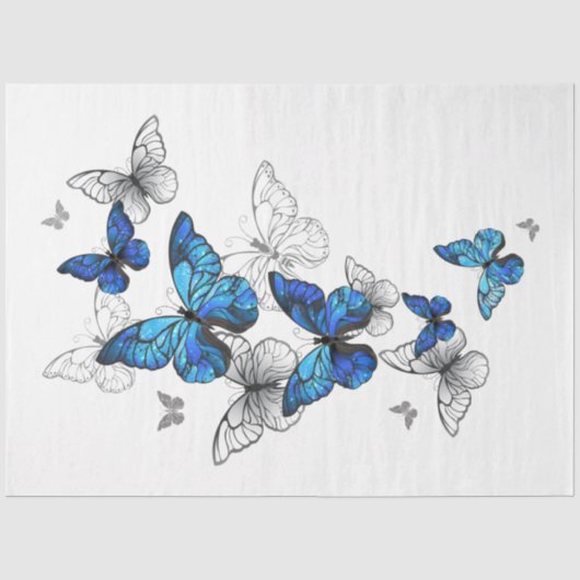 Papier Mousseline Papillons volants bleus Morpho (Recto)