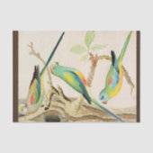 Papier Mousseline Parakeet Turquoise (Recto)