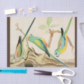 Papier Mousseline Parakeet Turquoise (Artisanat)