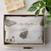 Papier Mousseline Parchemin d'insecte de la libellule papillon (Cadeau)