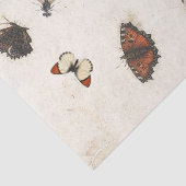 Papier Mousseline Parchemin d'insecte de la libellule papillon (Détail)