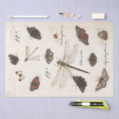 Papier Mousseline Parchemin d'insecte de la libellule papillon (Artisanat)