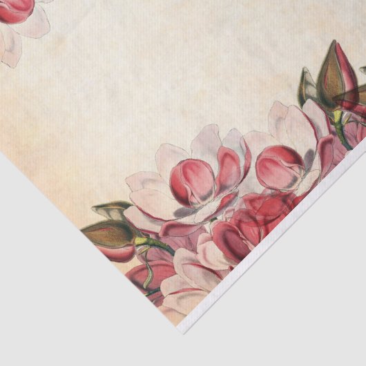 Papier Mousseline Parchemin Frontalier rose Magnolia (Détail)