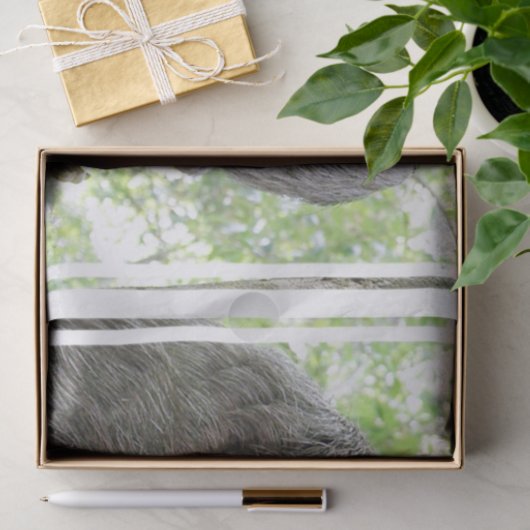 Papier Mousseline Paresse mignonne (Cadeau)