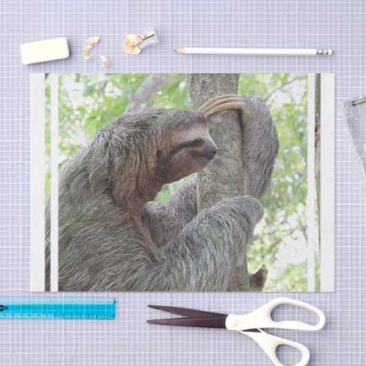 Papier Mousseline Paresse mignonne (Artisanat)