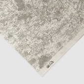 Papier Mousseline Paris 5 (Détail)