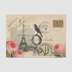 Papier Mousseline Paris Crow Globe Rose de cartes postales en frança