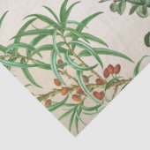 Papier Mousseline Parrot Art Vintage (Détail)