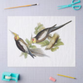 Papier Mousseline Parrot Cockatiel (Artisanat)
