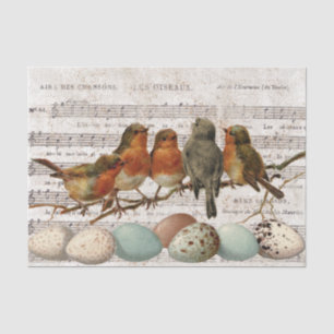 Papier Mousseline Partition Vintage Française Oiseaux Découpage