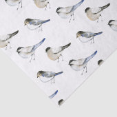 Papier Mousseline Paruline d'hiver à ailes bleues (Détail)