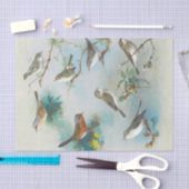 Papier Mousseline Paruline et Wrens, (Artisanat)