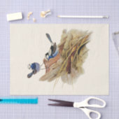 Papier Mousseline Paruline superbe turquoise, Découpage (Artisanat)