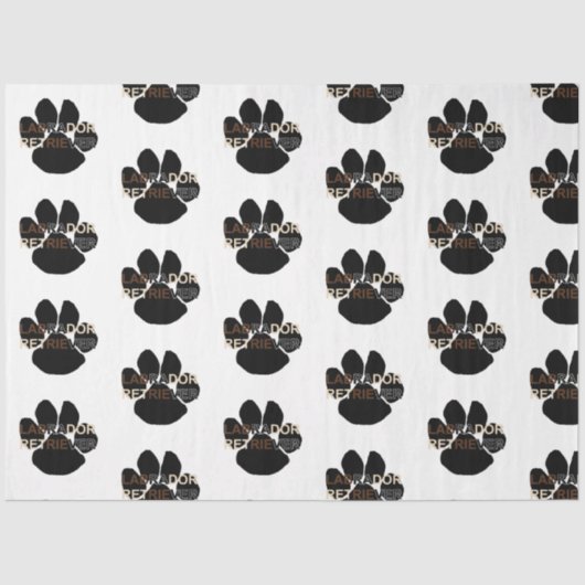 Papier Mousseline Passe de nom LR (Recto)