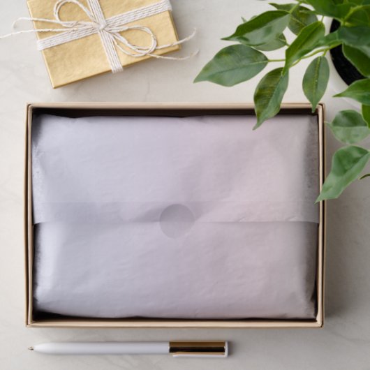 Papier Mousseline Pastel Gradient (Cadeau)