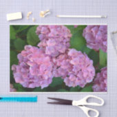 Papier Mousseline Pastel rose Hortensia hydrangea fleurs (Artisanat)