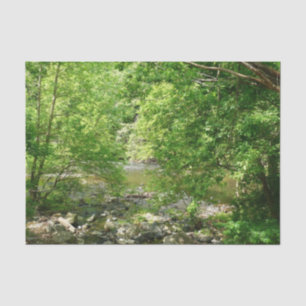 Papier Mousseline Patapsco River View Maryland Nature Photographie