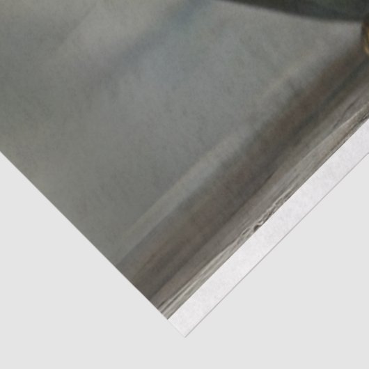 Papier Mousseline Patina Finition 2 chats Découpage (Détail)