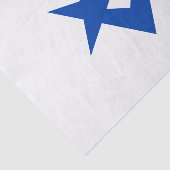 Papier Mousseline Patriotic tissue paper with flag of Toyota City (Détail)