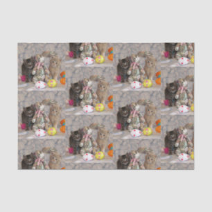 Papier Mousseline Patton et tampons - Papier de tissus de chats